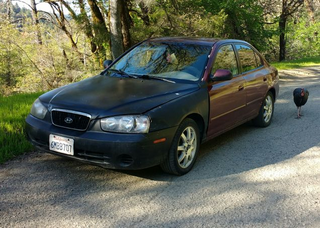 Illustration for article titled You know that thing where I buy a super cheap car and then never have a follow up post